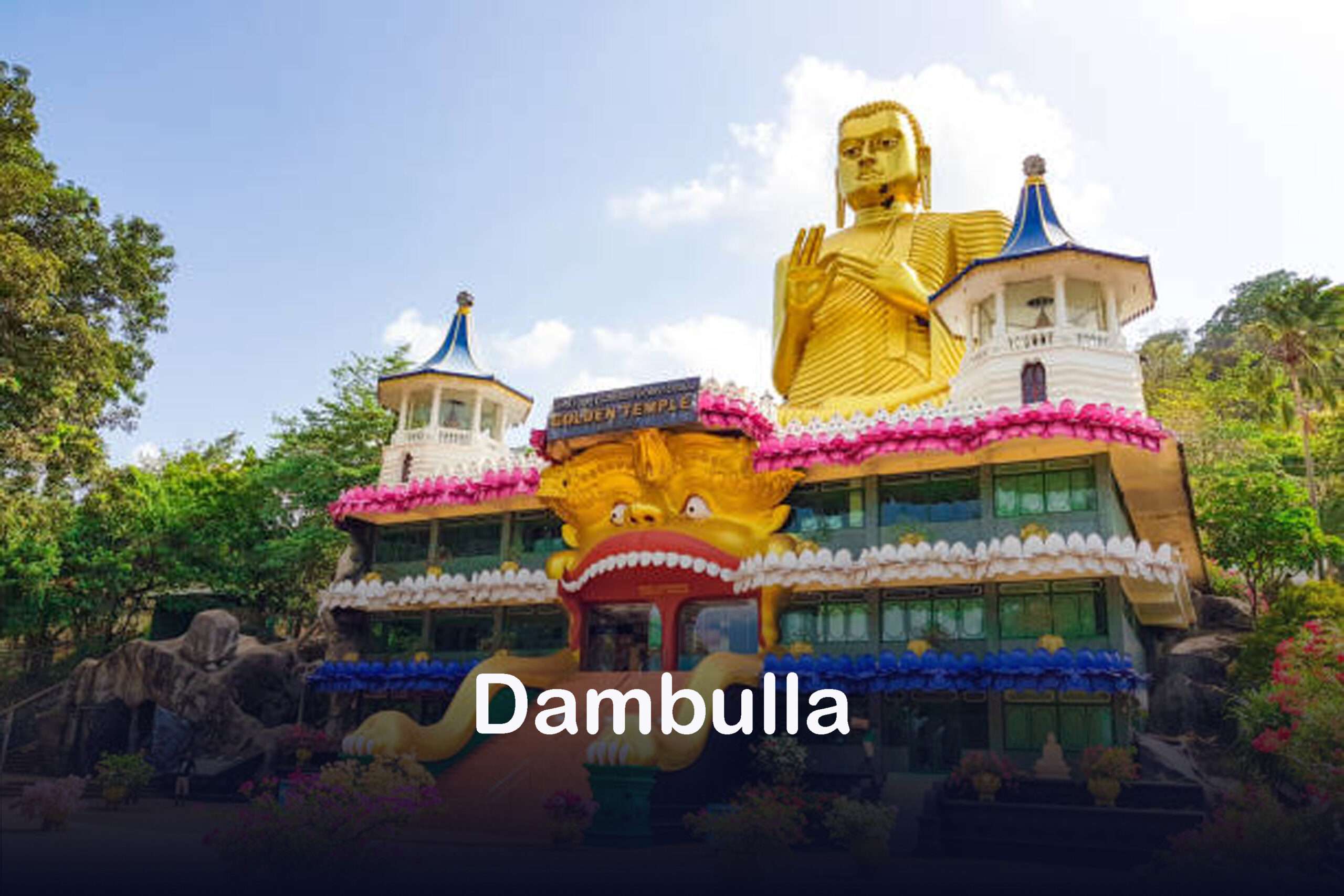 Dambulla Sri Lanka Tour Guide