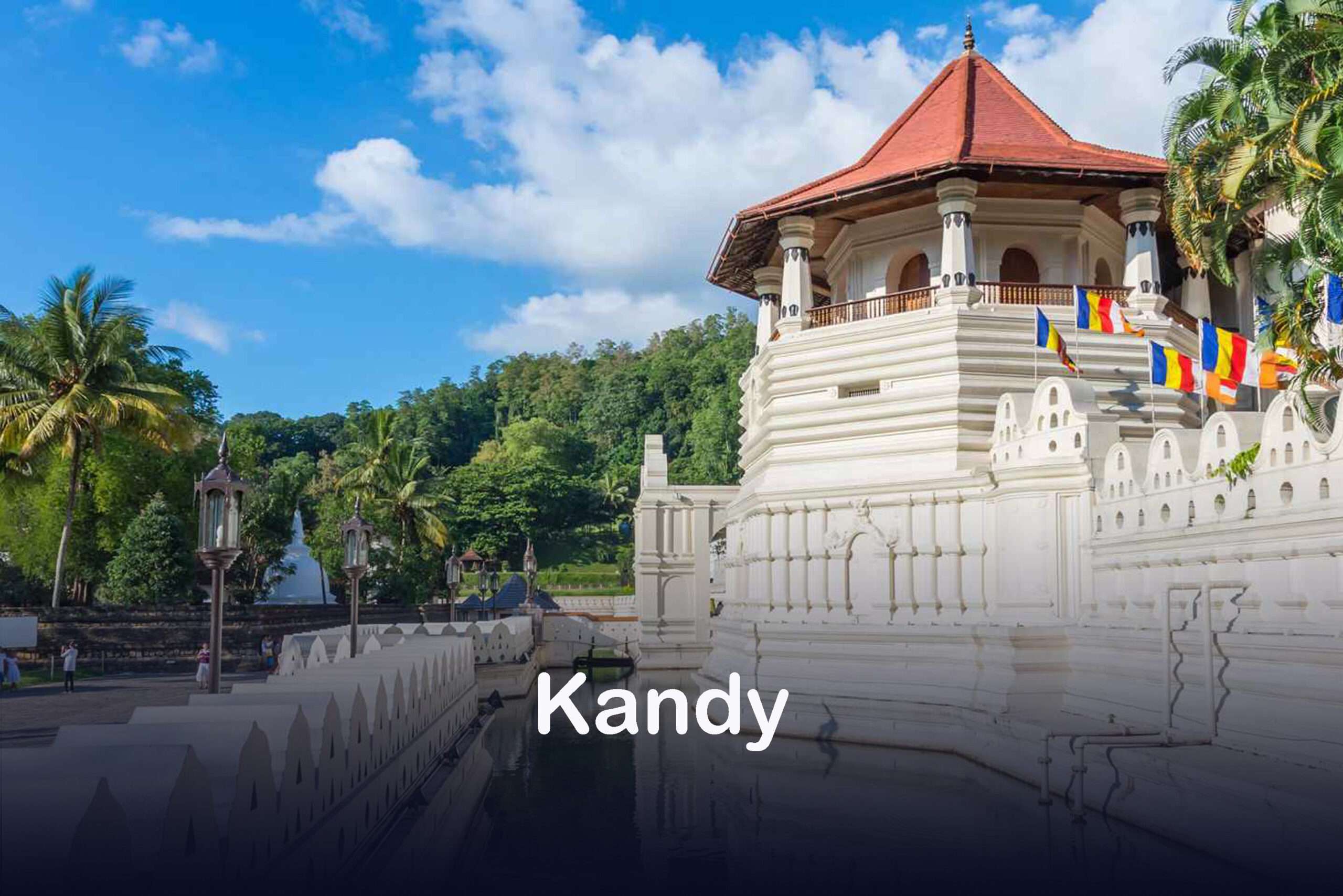 Kandy Sri Lanka Tour Guide