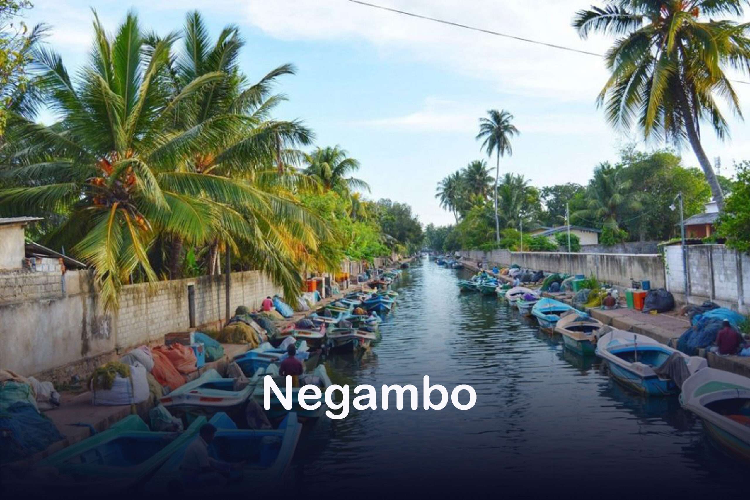 Negambo Sri Lanka Tour Guide